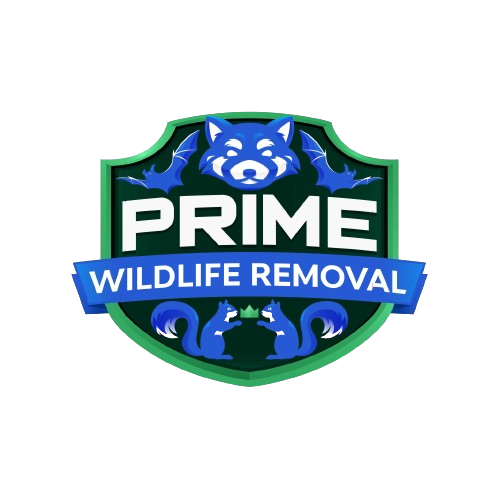 Wildlife Removal Mason